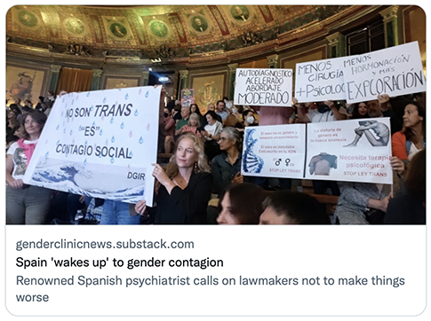 Spain wakes up to gender contagion.